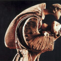 Monumento in Piazzale Inzani (Parma)